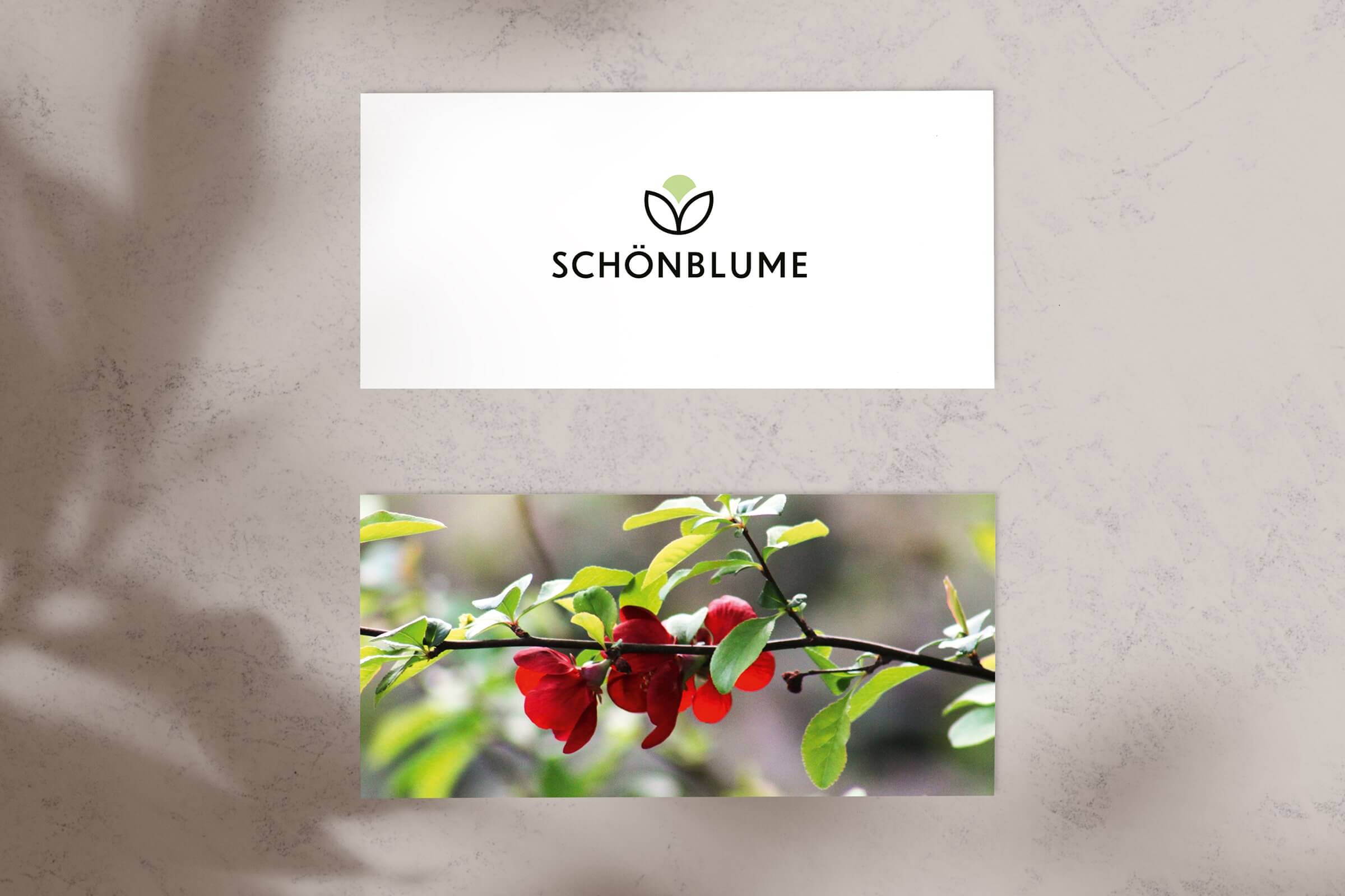 XUSCHA Design – Corporate Design – Schönblume, Logo