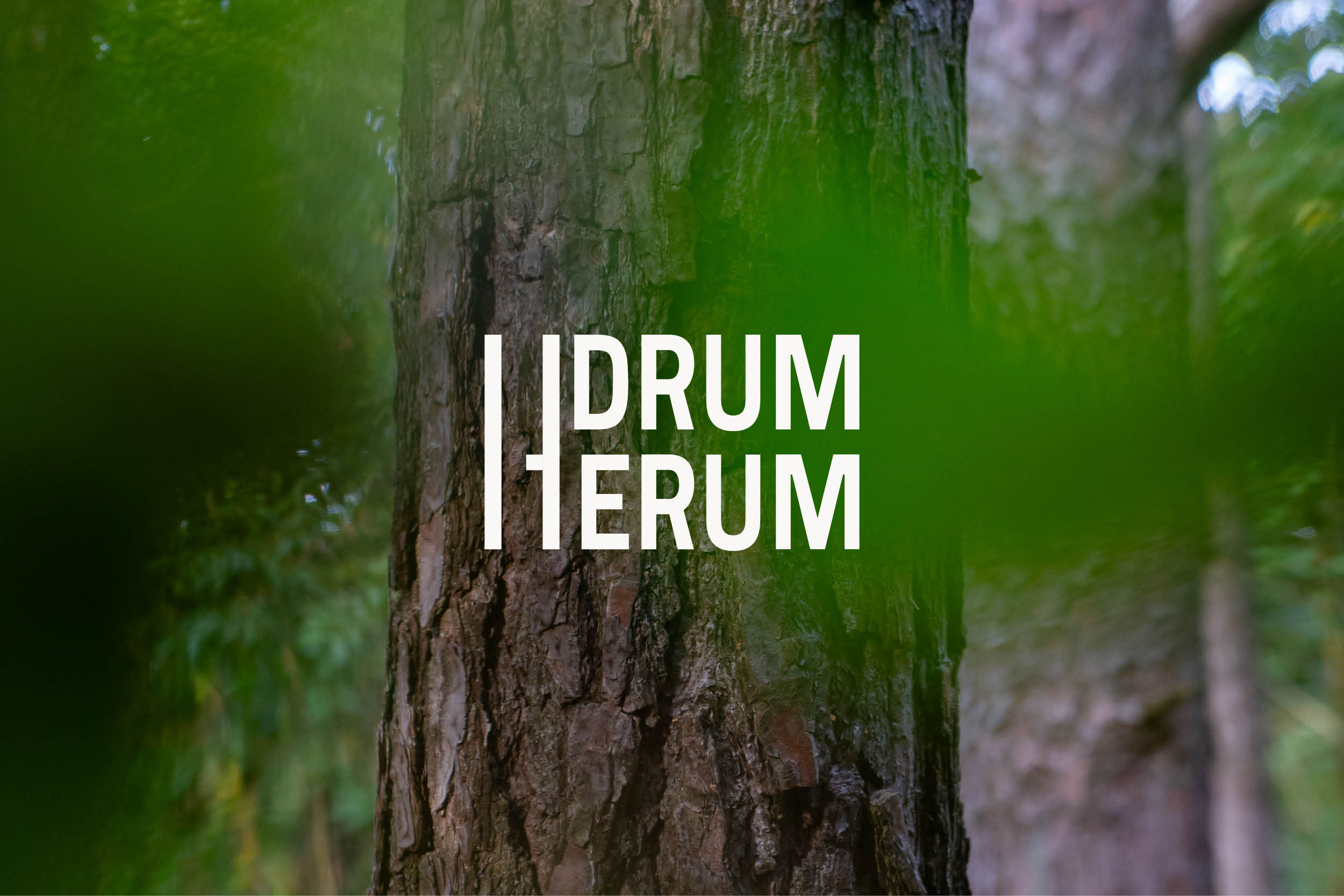 DRUM_HERUM_MULTIPIC